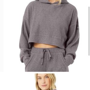 Alo Yoga Crop Hoodie in gray size XS